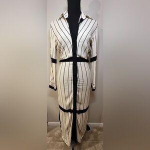 Zara Striped Button Down Dress